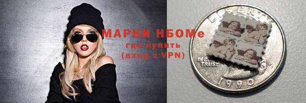 гидра Снежногорск