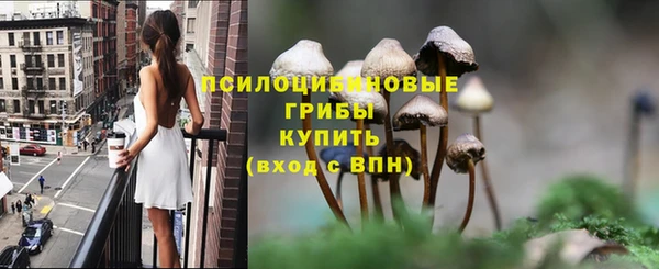мдпв Володарск