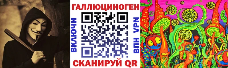 Псилоцибиновые грибы Psilocybine cubensis  Унеча 